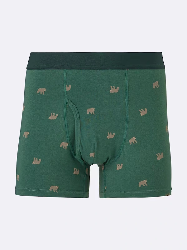 Boxer Briefs | Bear 3 Boxer Briefs | Bear