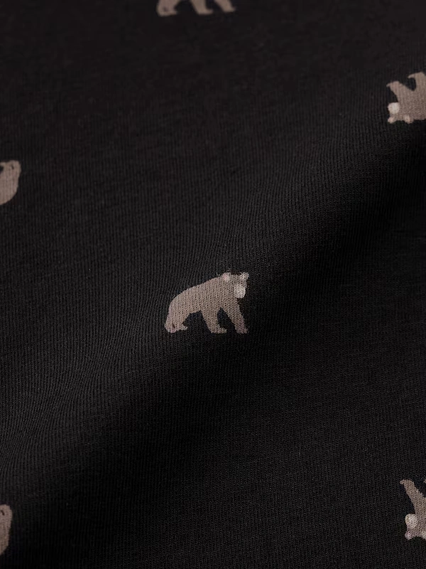 Boxer Briefs | Bear 4 Boxer Briefs | Bear