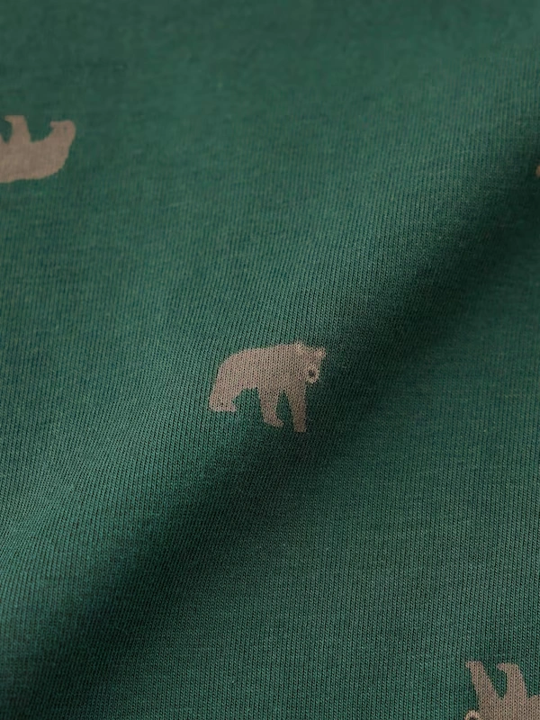 Boxer Briefs | Bear 5 Boxer Briefs | Bear