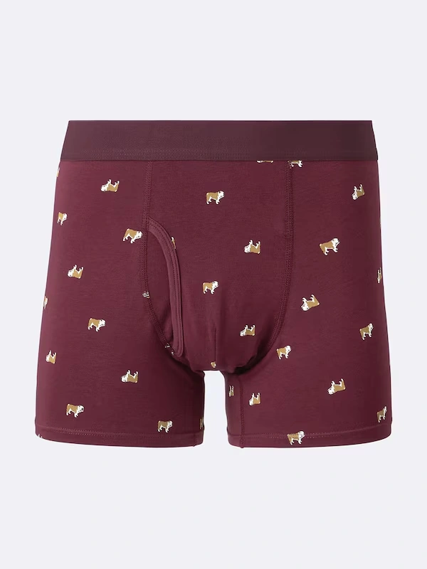 Boxer Briefs | Bulldog