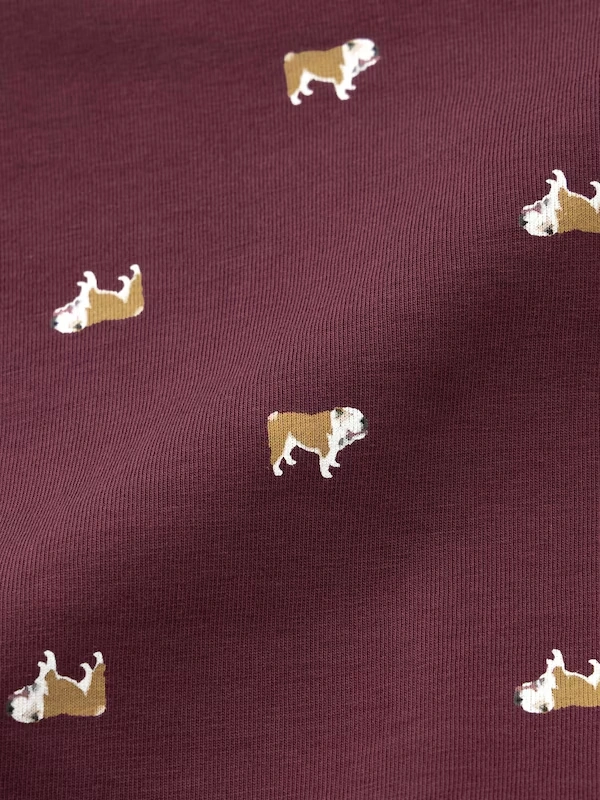 Boxer Briefs | Bulldog 4 Boxer Briefs | Bulldog