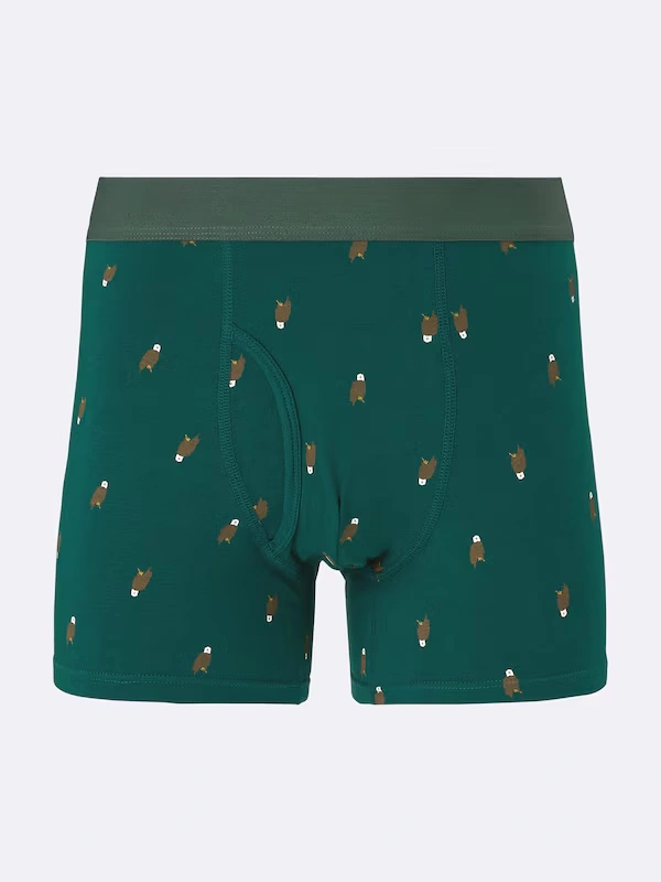 Boxer Briefs | Eagle