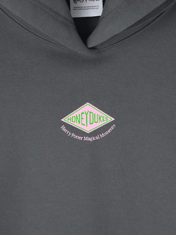 Heavy Weight Sweat Hoodie | Harry Potter 5 Heavy Weight Sweat Hoodie | Harry Potter