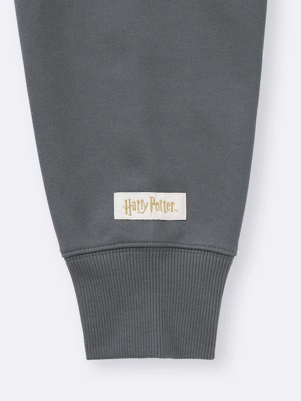 Heavy Weight Sweat Hoodie | Harry Potter 8 Heavy Weight Sweat Hoodie | Harry Potter