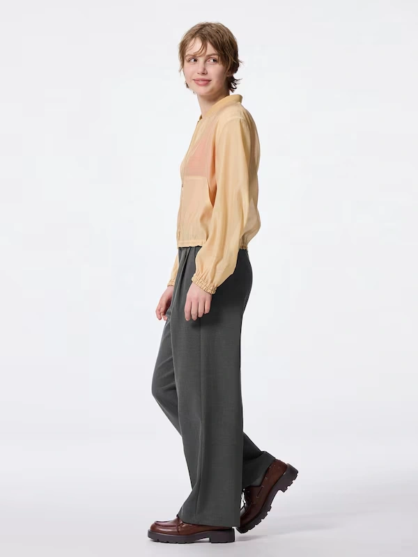 Pleated Wide-Leg Pants