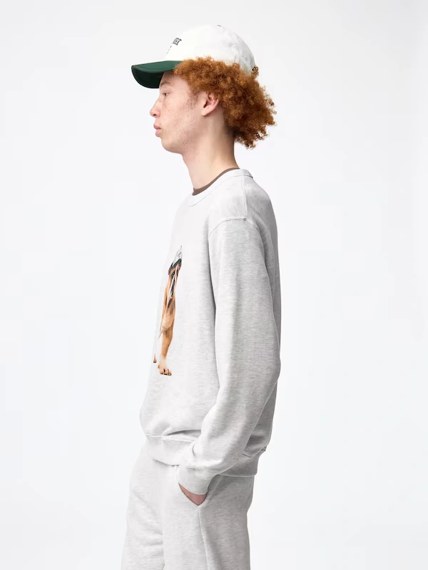 French Terry | Dog 4 French Terry | Dog